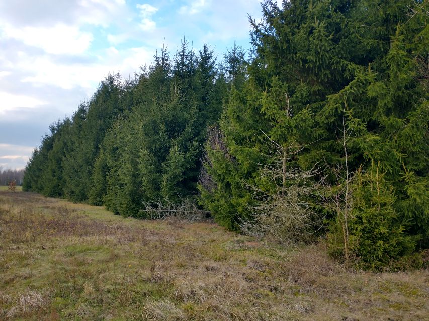 Działka rolna Ługi