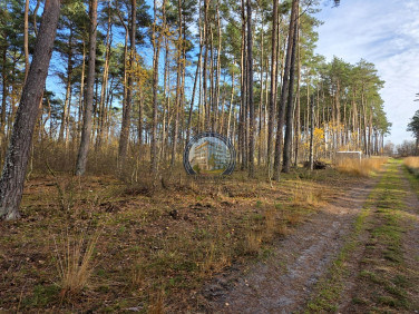 Działka Dziwnów
