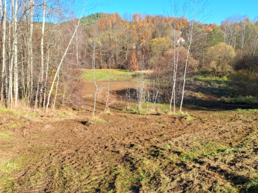 Działka budowlana Łyczanka