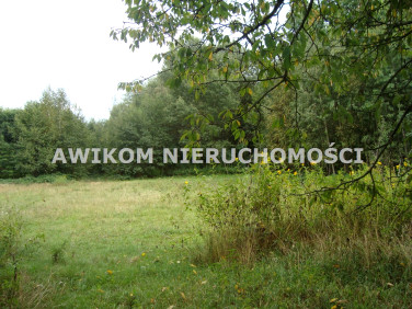 Działka siedliskowa Bolesławek