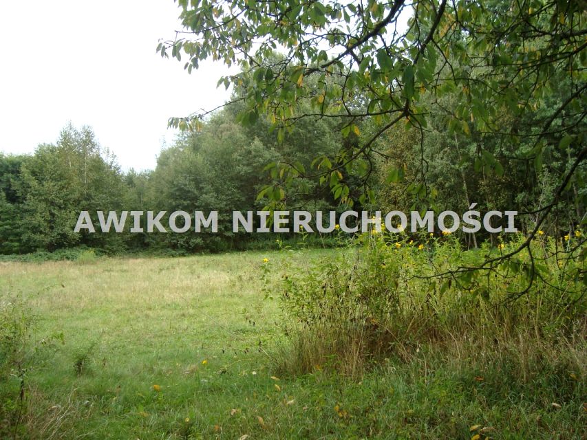 Działka siedliskowa Bolesławek