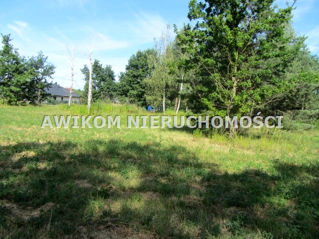 Działka budowlana Szczęsne