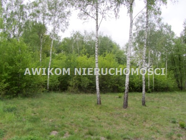 Działka budowlana Adamowizna