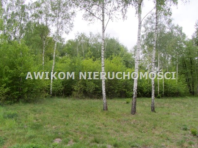 Działka budowlana Adamowizna