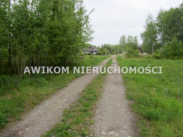 Zdjęcie 3
