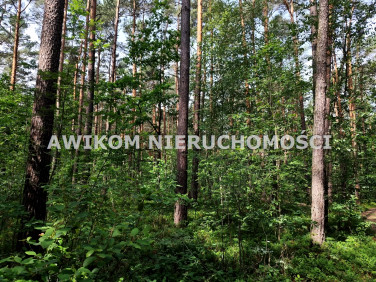 Działka budowlana Grabina Radziwiłłowska sprzedam