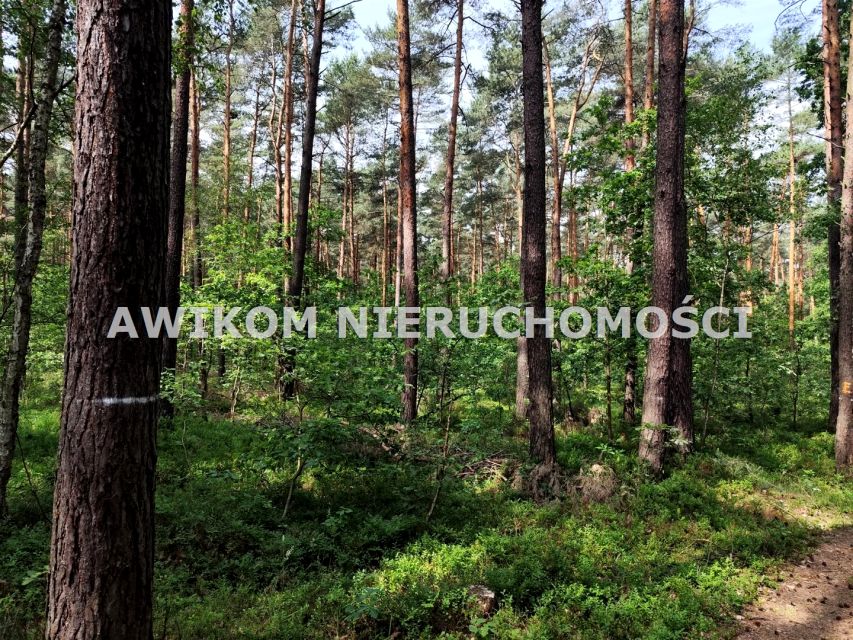 Działka budowlana Grabina Radziwiłłowska