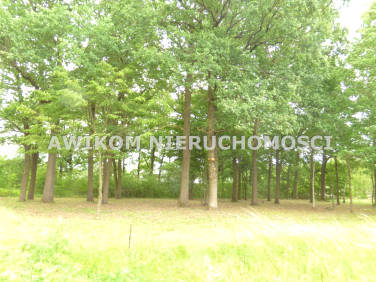 Działka budowlana Rusiec