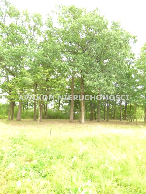 Działka budowlana Rusiec