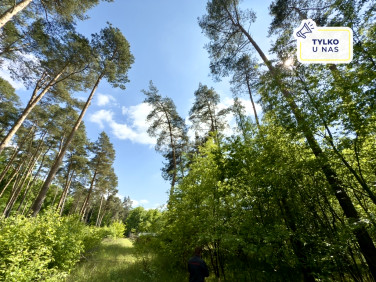 Działka budowlana Kędzierzyn-Koźle