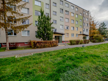 Mieszkanie Bydgoszcz