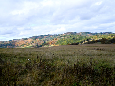 Działka budowlana Ciechanowice