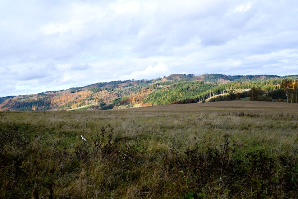 Działka budowlana Ciechanowice