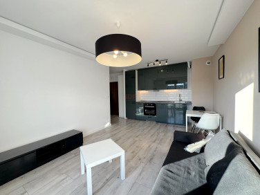 Mieszkanie Wrocław wynajem