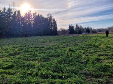 Działka budowlana Kotorydz