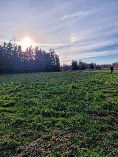 Działka budowlana Kotorydz