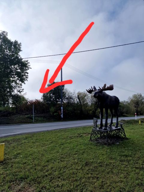 Działka usługowa Łoś