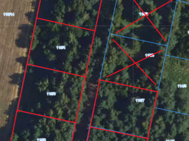 Działka budowlana Osowiec