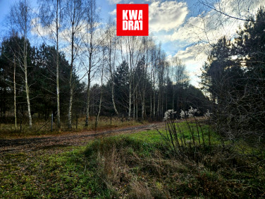 Działka budowlana Osowiec sprzedam