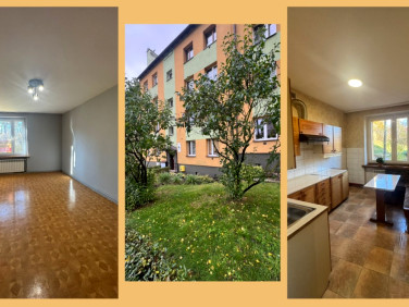 Mieszkanie Siemianowice Śląskie