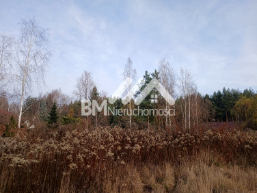 Działka budowlana Radonie