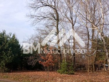 Działka budowlana Odrano-Wola