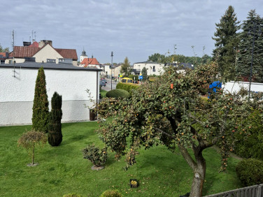 Mieszkanie Sośnicowice