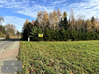 Działka usługowa Wilków