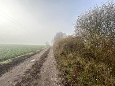 Działka inwestycyjna Ulim