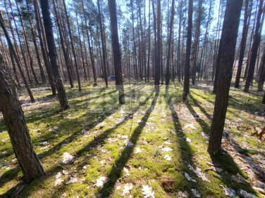 Działka budowlana Siestrzeń sprzedam
