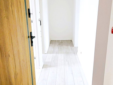 Mieszkanie Jelenia Góra