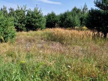 Działka siedliskowa Stefanówka