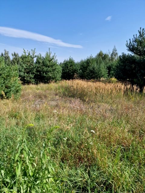 Działka siedliskowa Stefanówka