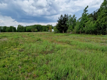 Działka budowlana Suchostruga