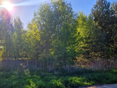 Działka budowlana Mirowice