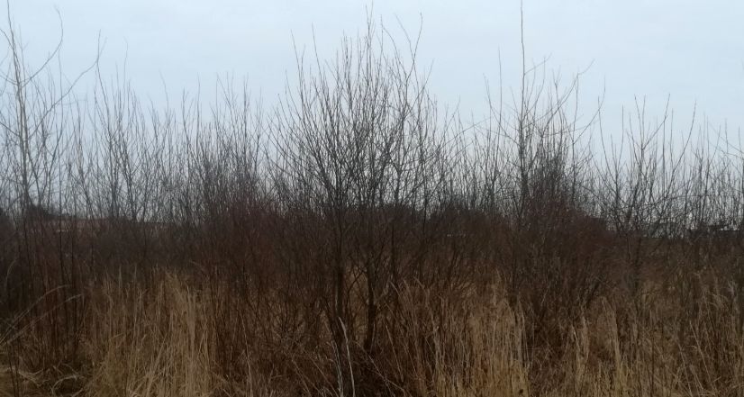 Działka budowlana Leszno sprzedam