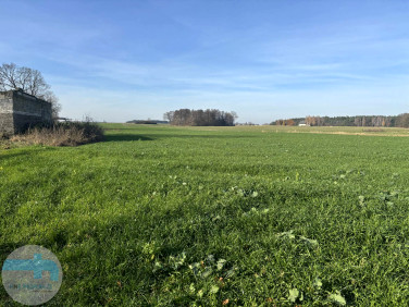 Działka inna Jaskółowo