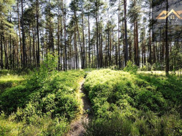 Działka leśna Joniny