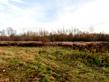Działka budowlano-rolna Łęki