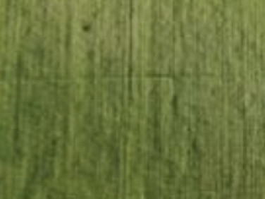 Działka budowlana Stefanowo