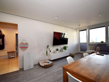 Mieszkanie Katowice sprzedaż