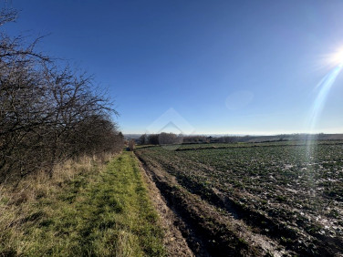 Działka rolna Wilczkowice