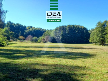 Działka budowlana Rynarzewo