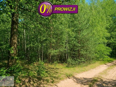 Działka inwestycyjna Brójce