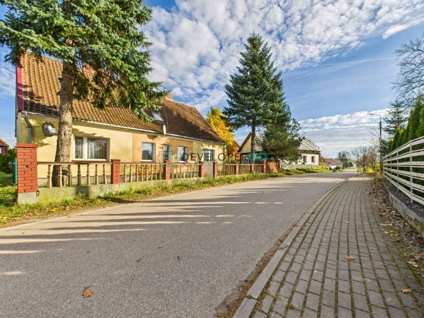 Zdjęcie 2