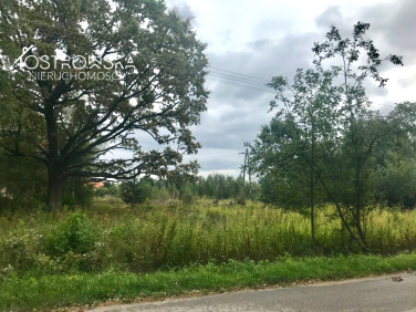 Działka inna Ławki