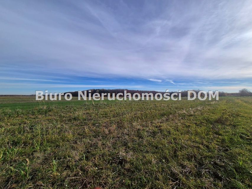 Pusta działka Łochynia