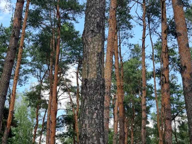 Działka budowlana Władysławów