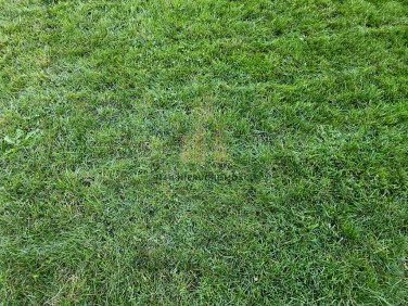 Działka budowlana sprzedam