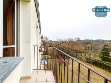 Mieszkanie Skęczniew